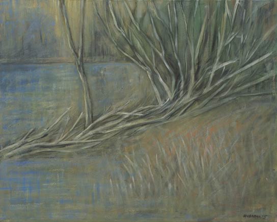 Monika Hubmann "Uferzone"