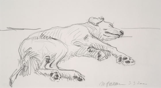 Monika Hubmann "Hund"