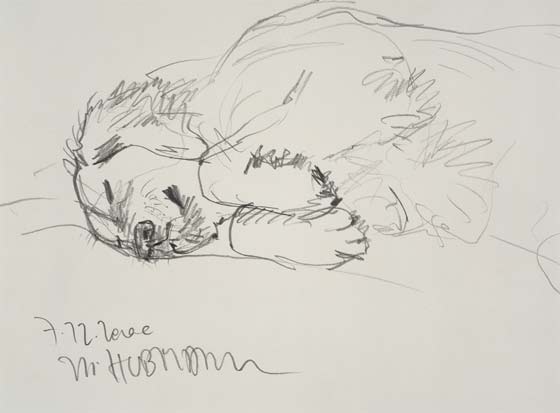 Monika Hubmann "Hund"
