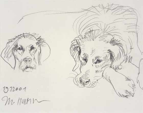Monika Hubmann "Hund"